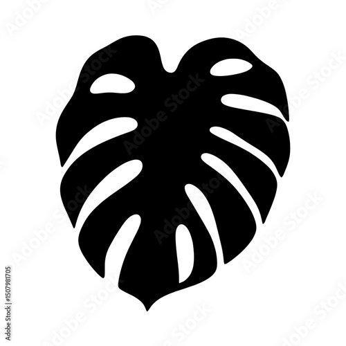 Vector silhouette of a monstera leaf with distinct fenestrations and a pointed tip in a graphic representation on transparent background