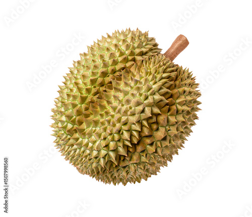 durian isolated on white background