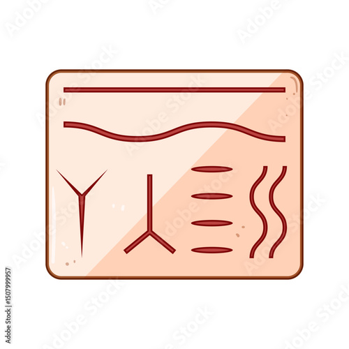 education suture practice pad cartoon vector illustration