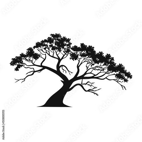 tree silhouette vector