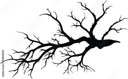 A stark silhouette reveals the intricate branching patterns of a bare deciduous tree limb