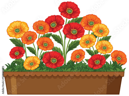Vibrant Poppies in a Decorative Planter