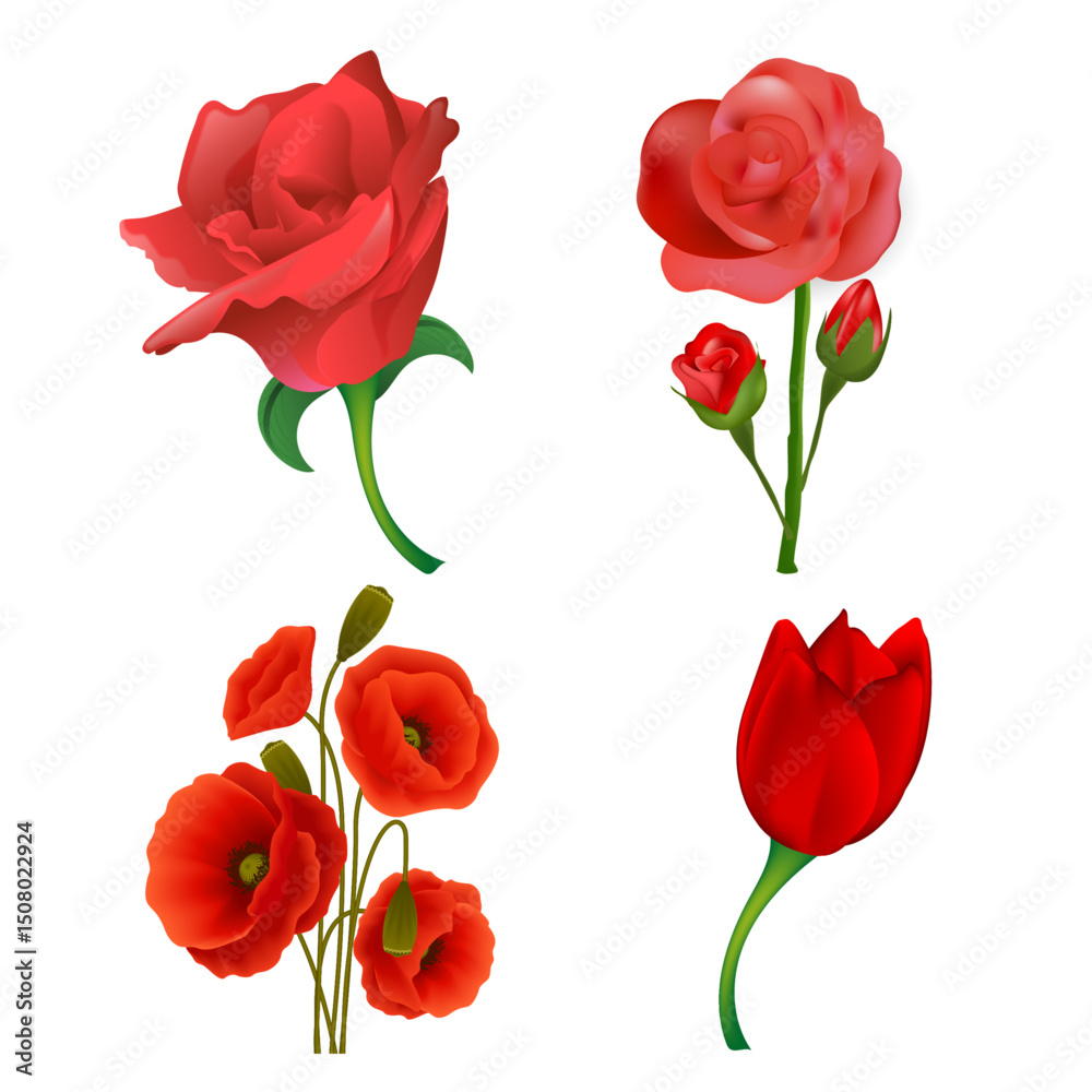 Obraz premium set of red roses