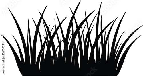 Sharp black grass blades clump together, creating a silhouette against a white backdrop