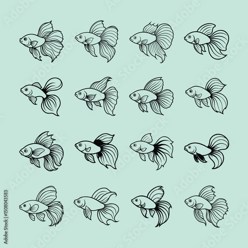aquarium betta fish line art illustration