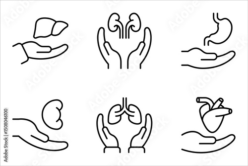 Organ donation linear icon. Living, deceased body parts offer. Tissues transplantation. vector illustration on white background