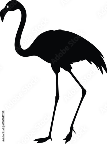 Standing flamingo displays elegant silhouette with long neck and slender legs on a white background