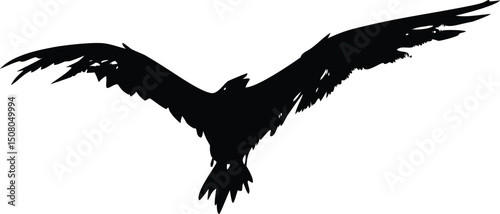 The black bird's silhouette with outstretched wings shows the power of avian flight