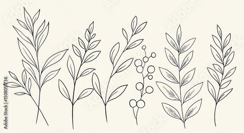 Elegant Minimalist Line Art Botanical Illustrations Set of Hand Drawn Floral Branches and Leaves