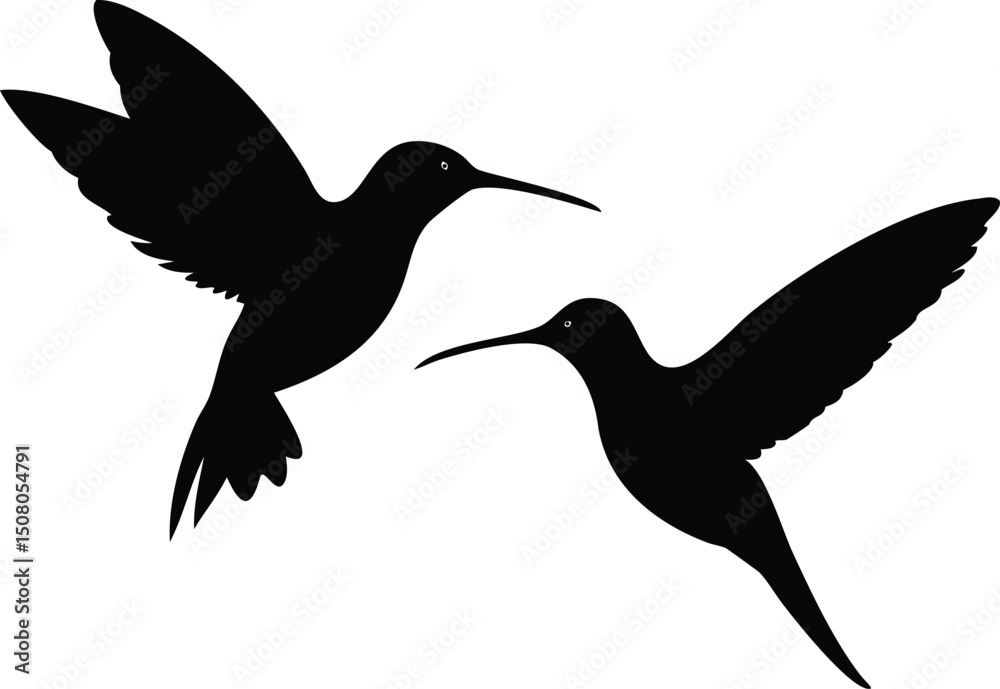 Obraz premium Two silhouette hummingbird birds are flying with their wings outstretched against a white backdrop