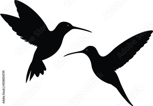 Two silhouette hummingbird birds are flying with their wings outstretched against a white backdrop