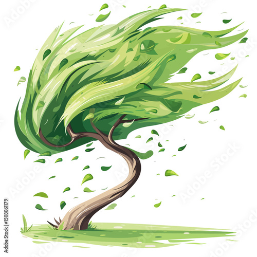 Windblown tree isolated 