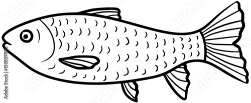 Grass Carp Vector Outline Line Art Drawing