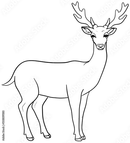 Fallow Deer Vector Outline Line Art Animal Drawing