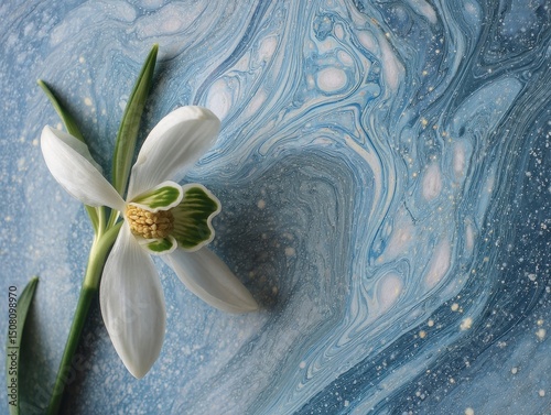 Abstract Floral Blue Background