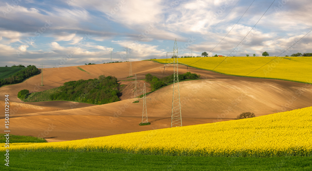 Obraz premium High voltage line poles running through Moravian fields