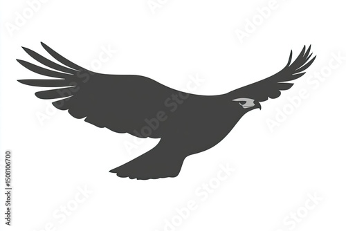 Silhouette of a soaring bird in flight. photo