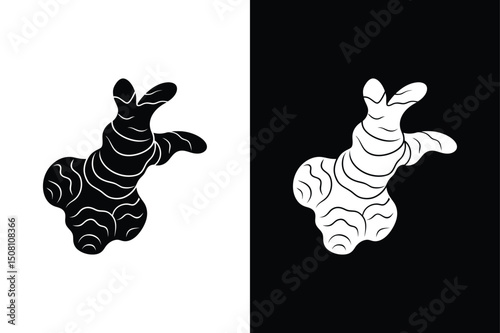 Fresh ginger root icon Silhouette, sliced, black white background. Ginger Herb and Spice Icon