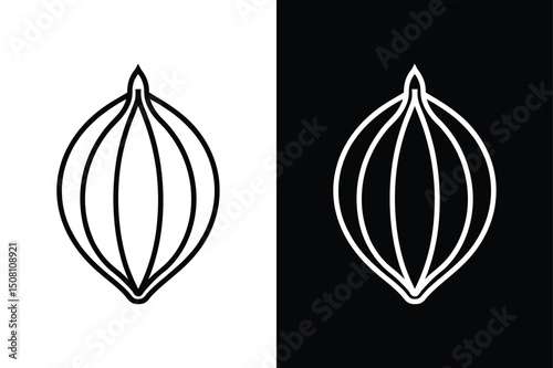 Cardamom Vector Illustration. Hand-Drawn Line Art on White and Black