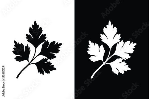 Flat Coriander Vector Icon. Herb and Spice Silhouette on Isolated Background