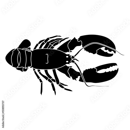 lobster