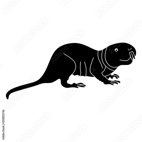 naked mole rat