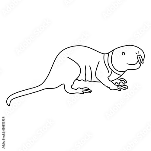 naked mole rat