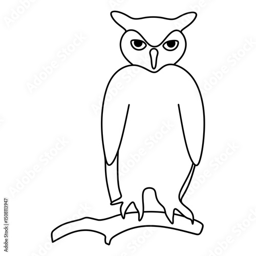owl