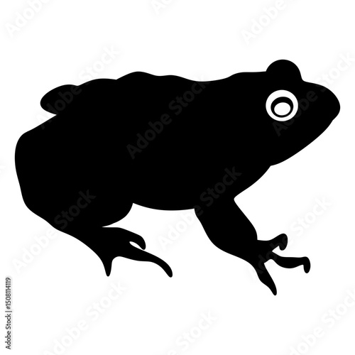 frog