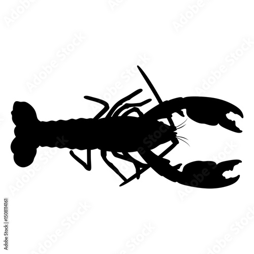 lobster