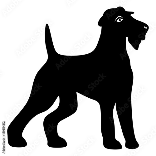 dog photo