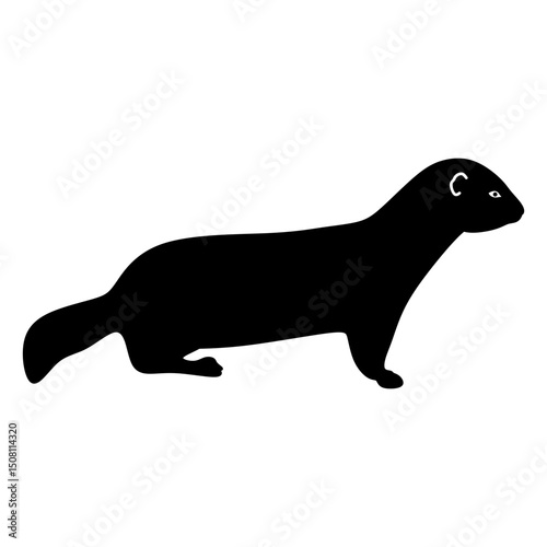 mink