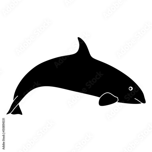 killer whale