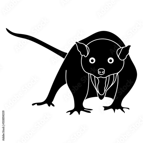 opossum