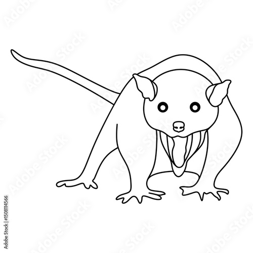 opossum