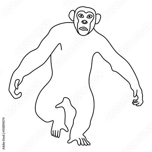 chimpanzee