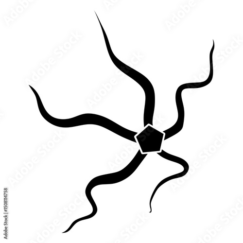 brittle star