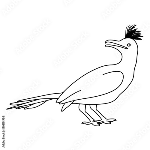 roadrunner