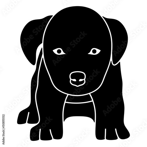 poodle