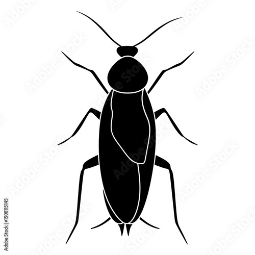 roach