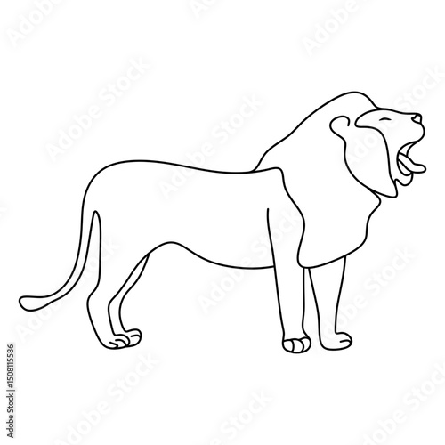 lion
