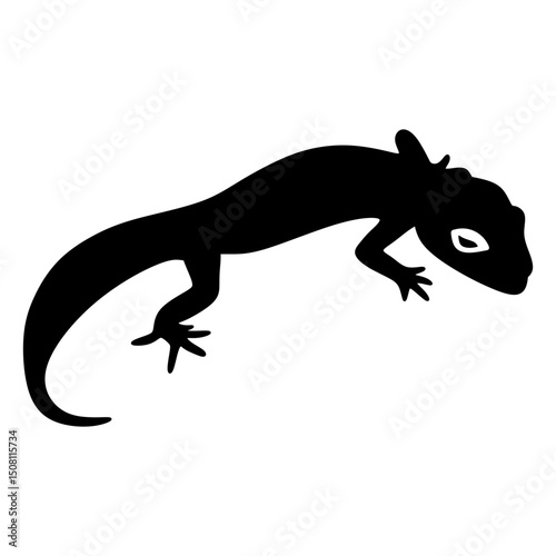 lizard