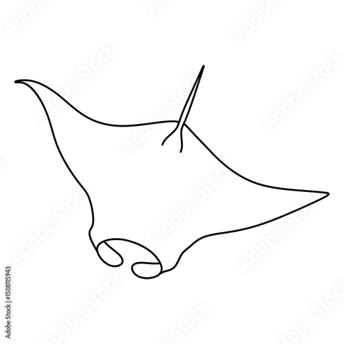 manta ray