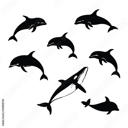 Silhouette collection of dolphins and a whale in various poses against a white background. Diverse marine animal silhouettes in dynamic poses, highlighting their unique features.