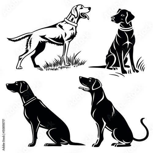 high quality detailed silhouette of dogs dog breeds