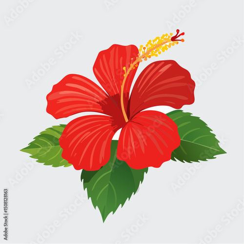 Vibrant Hibiscus Bloom: An exquisite close-up of a vivid red hibiscus flower, showcasing its intricate petals, prominent stigma, and fresh green foliage, a symbol of beauty.