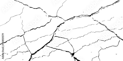 "Cracked surface lines spreading organically across a white background, high-contrast black and white texture, resembling shattered glass or dry earth fractures — ideal for abstract design or overlays