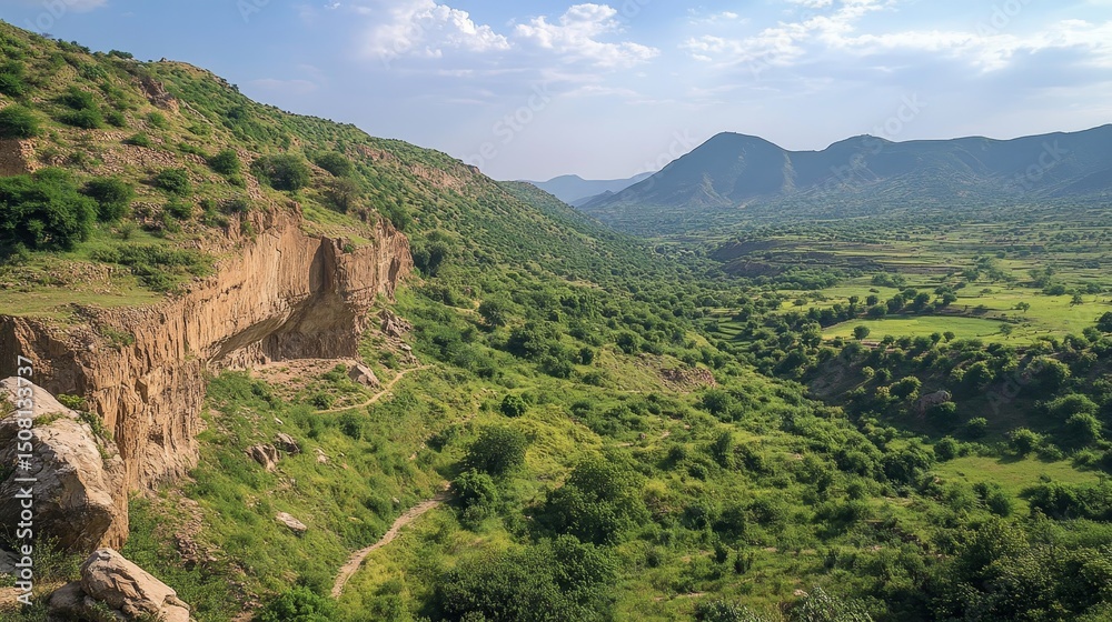 Obraz premium Pakistan's northern areas have a lovely mountain and a pretty green valley. 