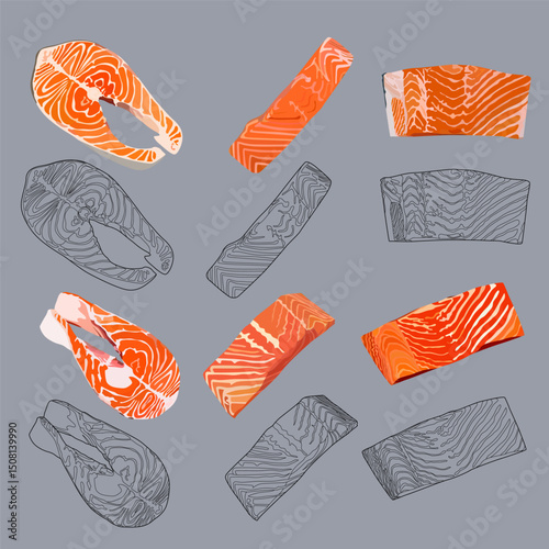 Set of Salmon, raw fish slice and meat steaks isolated on a grey background. Vector illustration