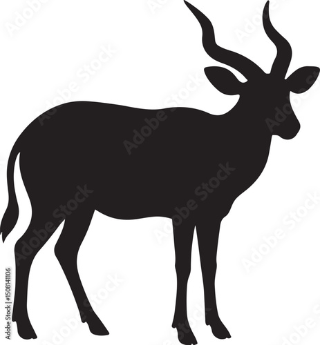 a bongo vector